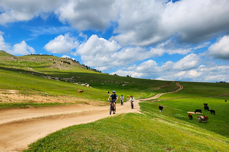 Mountain biking in Mongolia